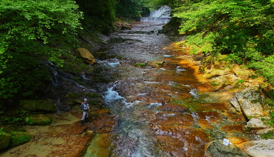 native Trout Fishing