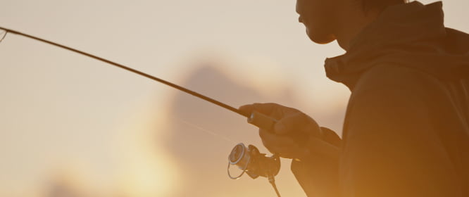 ギャラリー画像1