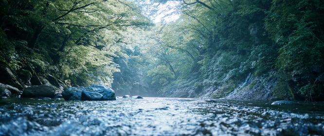 ギャラリー画像2