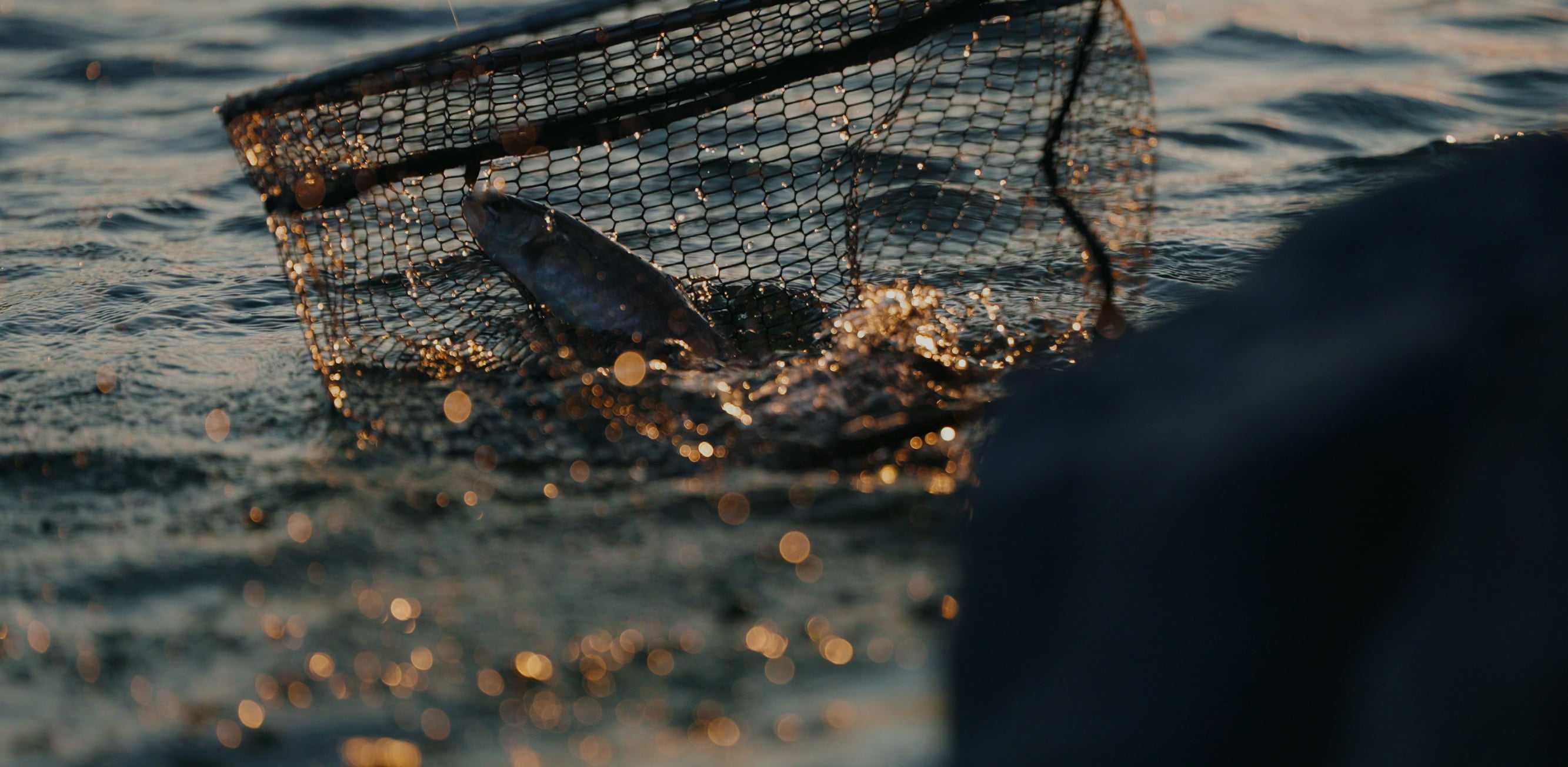 ANGLERS LOGのイメージ画像