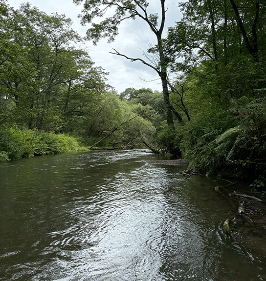 北海道・道東へのスケール全開遠征