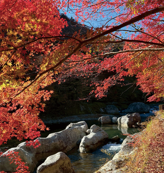 高活性と低活性の狭間で。箒川C＆R晩秋攻略