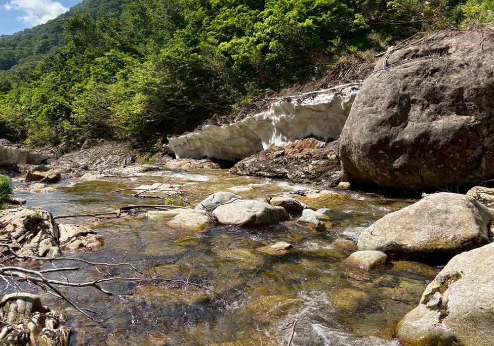 野生味溢れるアグレッシブバイトを体感、<br>群馬県山岳渓流釣行