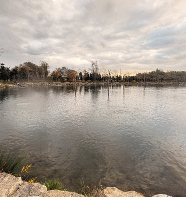 関西大人気エリア。アクティブ、ポジティブ、アグレッシブなプラグゲーム