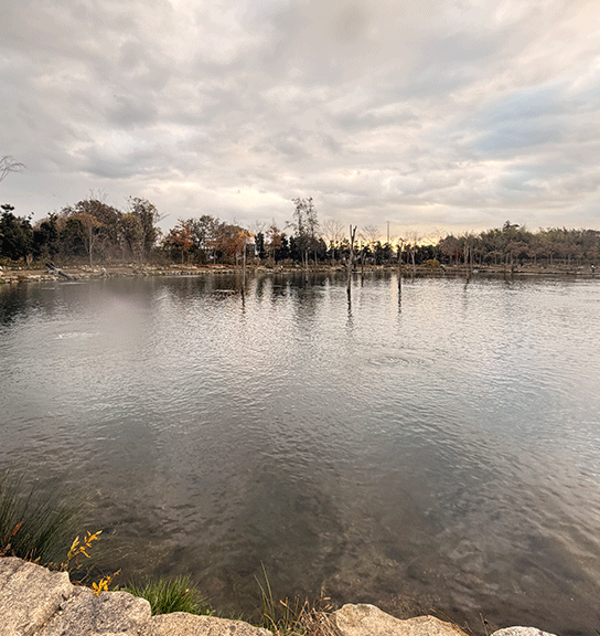 関西大人気エリア。アクティブ、ポジティブ、アグレッシブなプラグゲーム