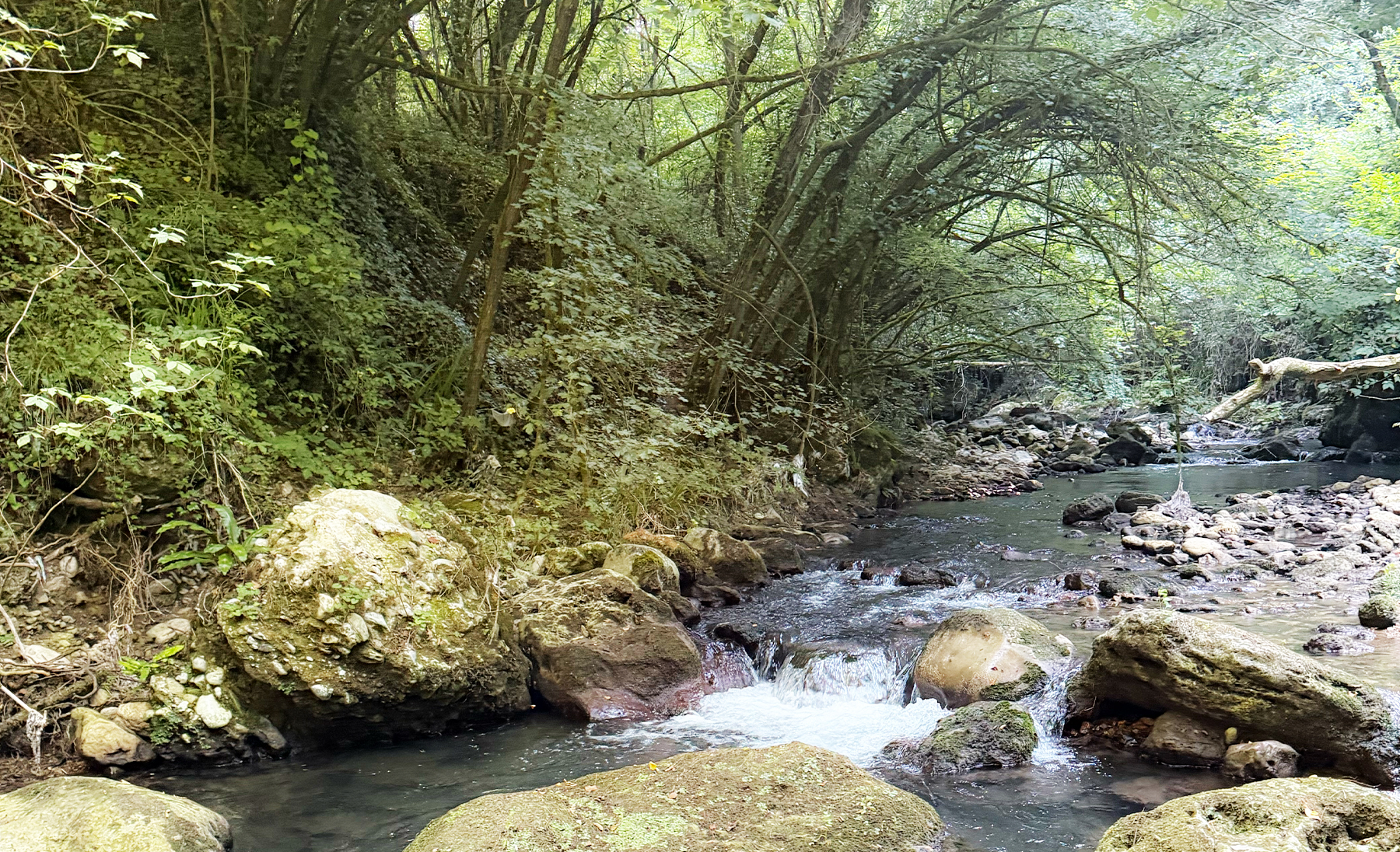 イタリアの山岳渓流を探る一日。