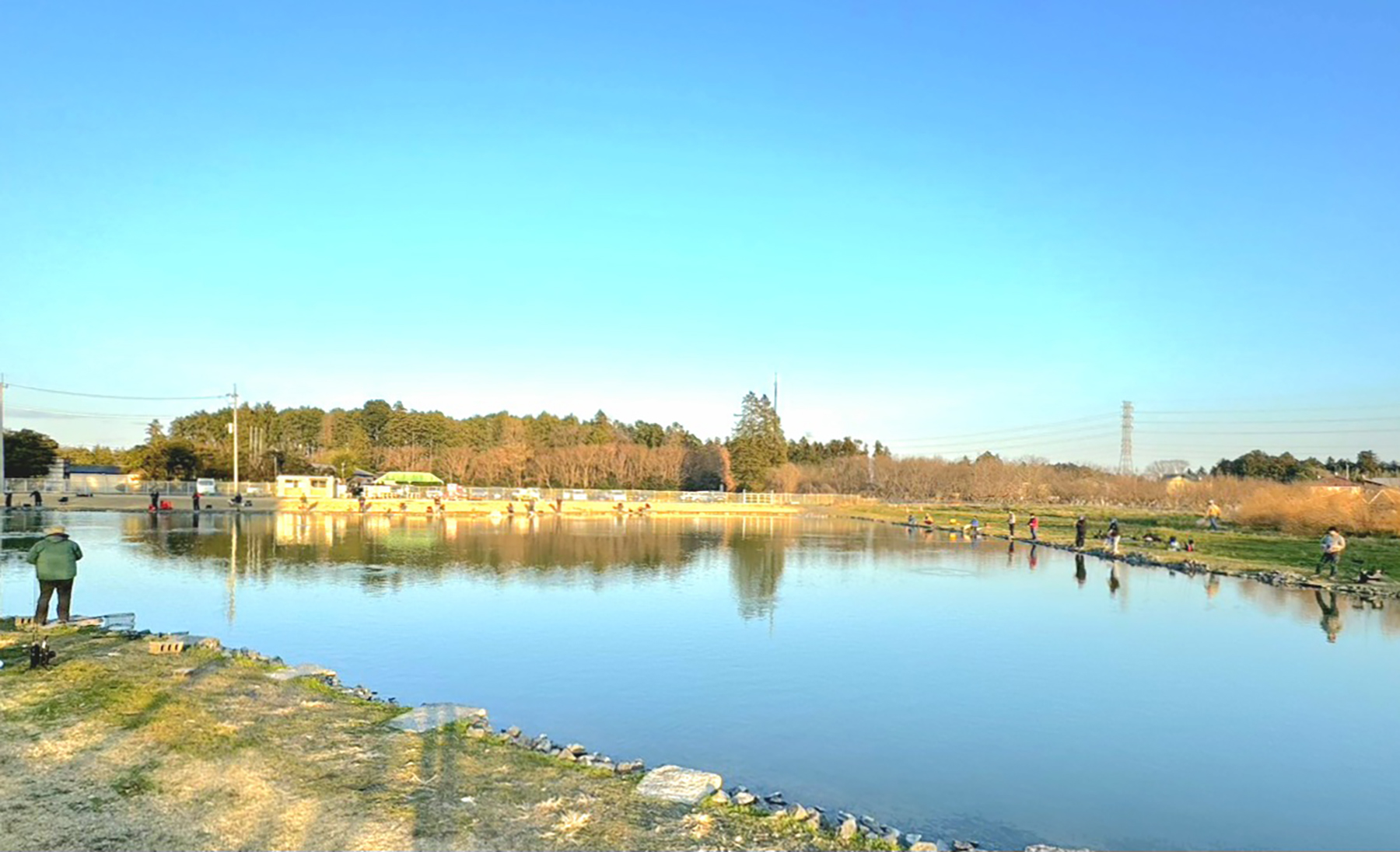 輝く魚体<br> レイクユザキでサクラマスを追う。