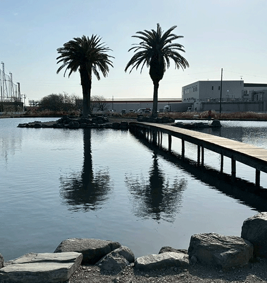 釣り場スタッフが暴くクリアポンド攻略のカギ