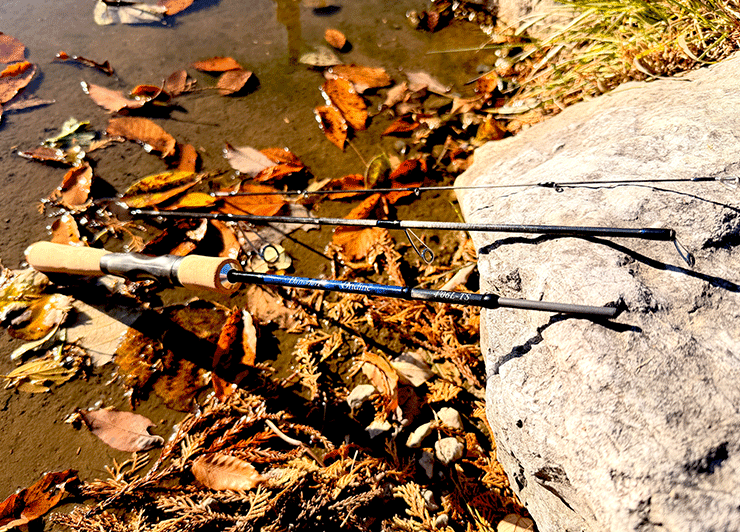 DainsleiF Ondine 4’06-TS