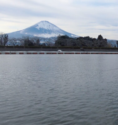 奥が深い。<br>デジ巻きの世界