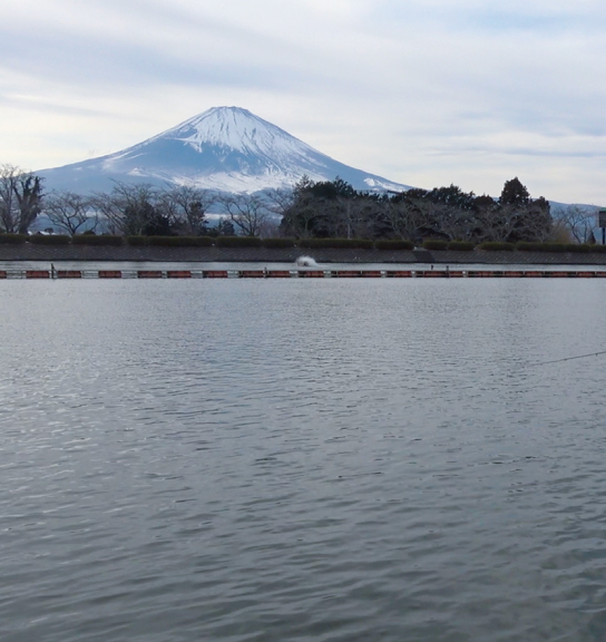 奥が深い。デジ巻きの世界