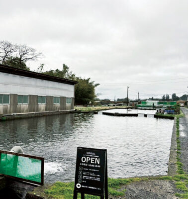 回遊と居つきを視野に<br>変化を追う。