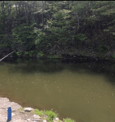 ボトムから少し浮いた魚に。