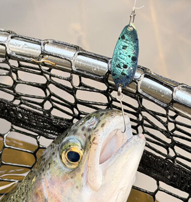 クロマシャイン®カラー<br> アプリ限定キャンペーン