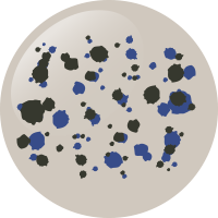 C267 アイスアメーバブル