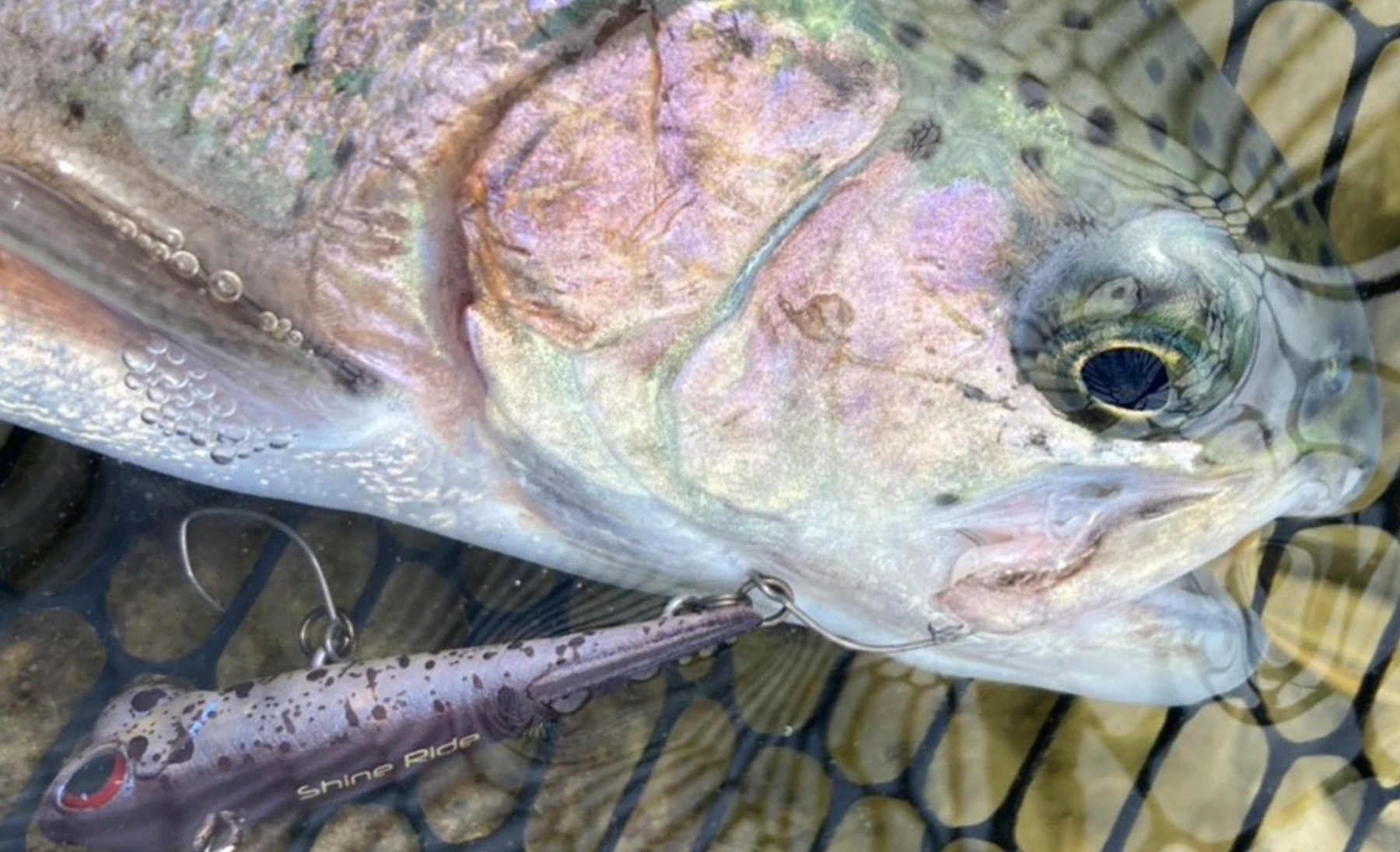 迷ったら底<br>なら山沼ハイシーズンの攻略軸