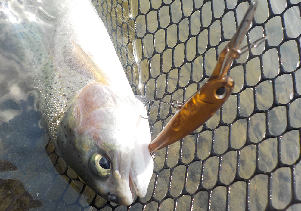 パフォーマンスのイメージ画像