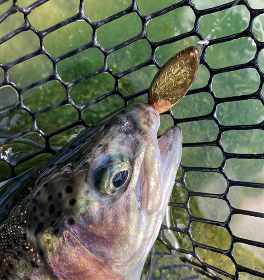 低速で魅せる<br>NEWスプーンBlackBlast2.2g