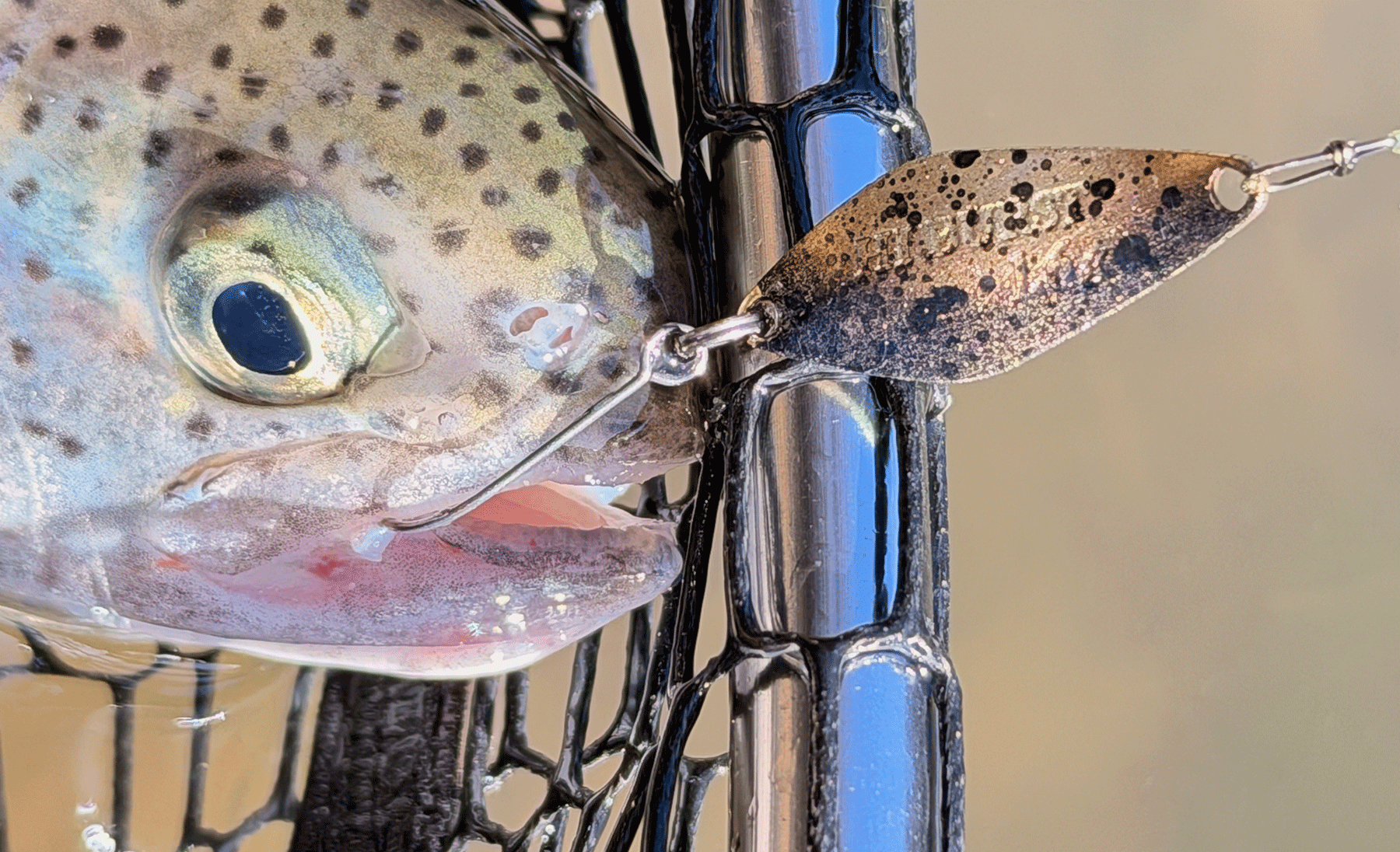 ポイントのイメージ画像