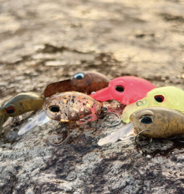 【動画公開】<br>6色のロジック｜発光路の森