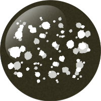 C266 クロッカンクランキー