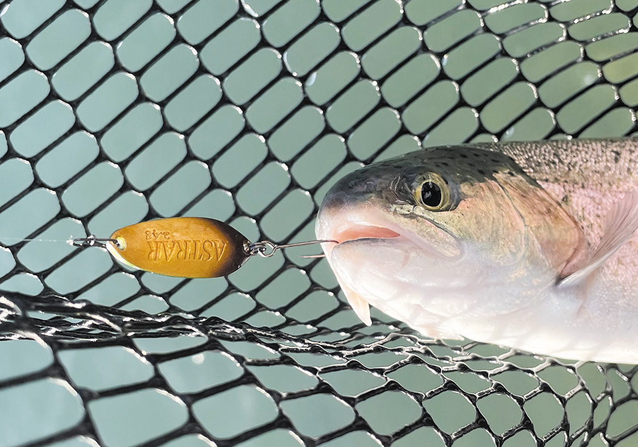 パフォーマンスのイメージ画像