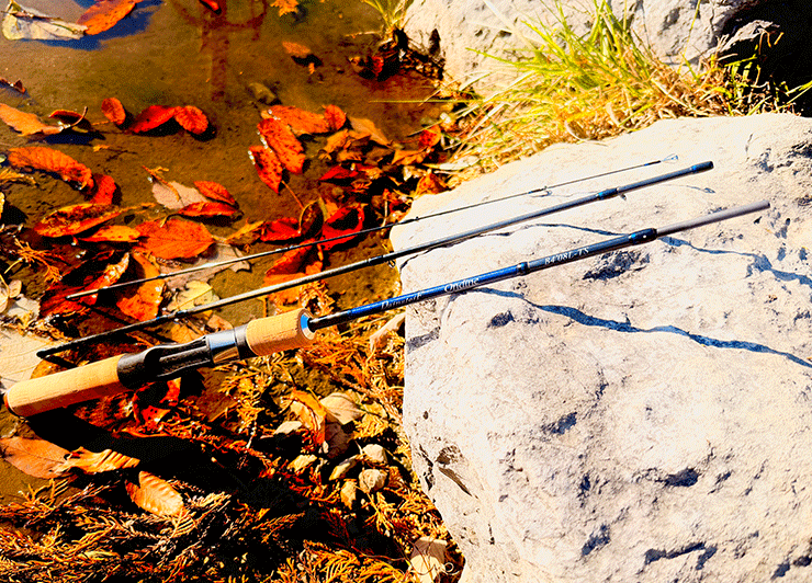 DainsleiF Ondine B4’08-TS