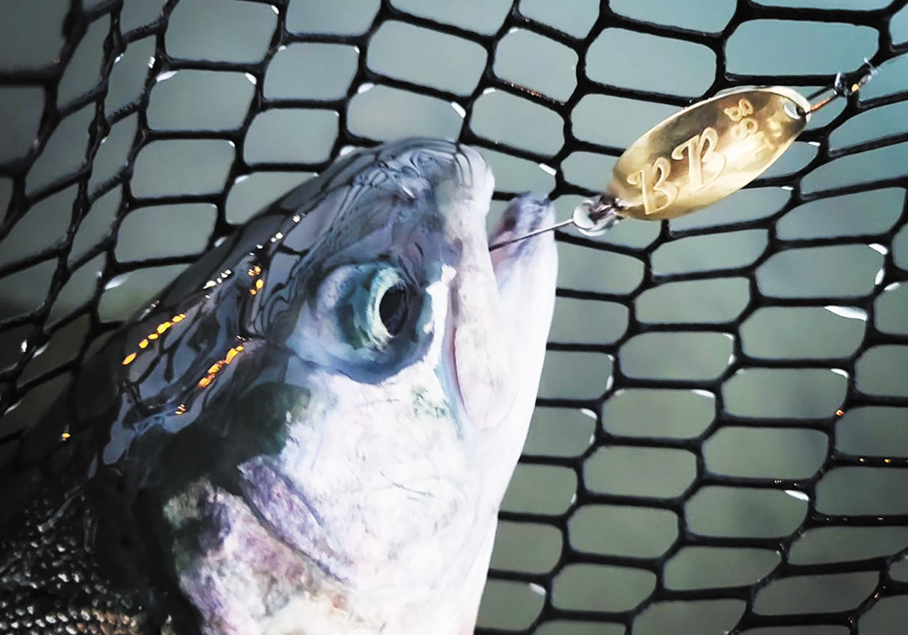 Black Blast（ブラックブラスト） | SPOONS | ValkeIN ヴァルケイン