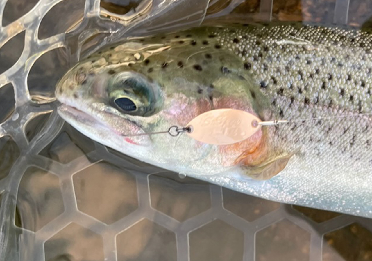 ポイントのイメージ画像