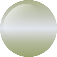 C161 ゴージャスボーングロー