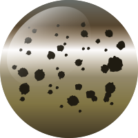 C197 カフェインフラッシュ