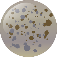 C240 秘境シュリンプ