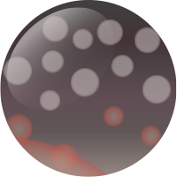 C246 ニッコウイワナ