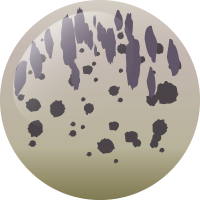 C255 スターゲイズ