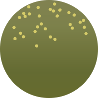 M200 カーメリアンフルオリーブ