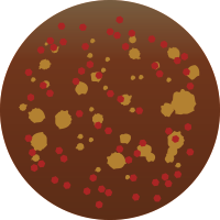 M250 マットメタルフルブラウン