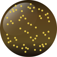 C175 オリーブジャック