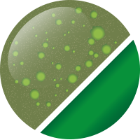 CRM3 ネオライム