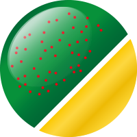 No.65 ボタニカルゴールド