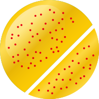 No.66 ストロボシークレット