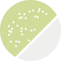 No.78 ミントホワイト