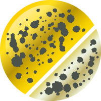 No.17 Wゴールドスプラッシュ