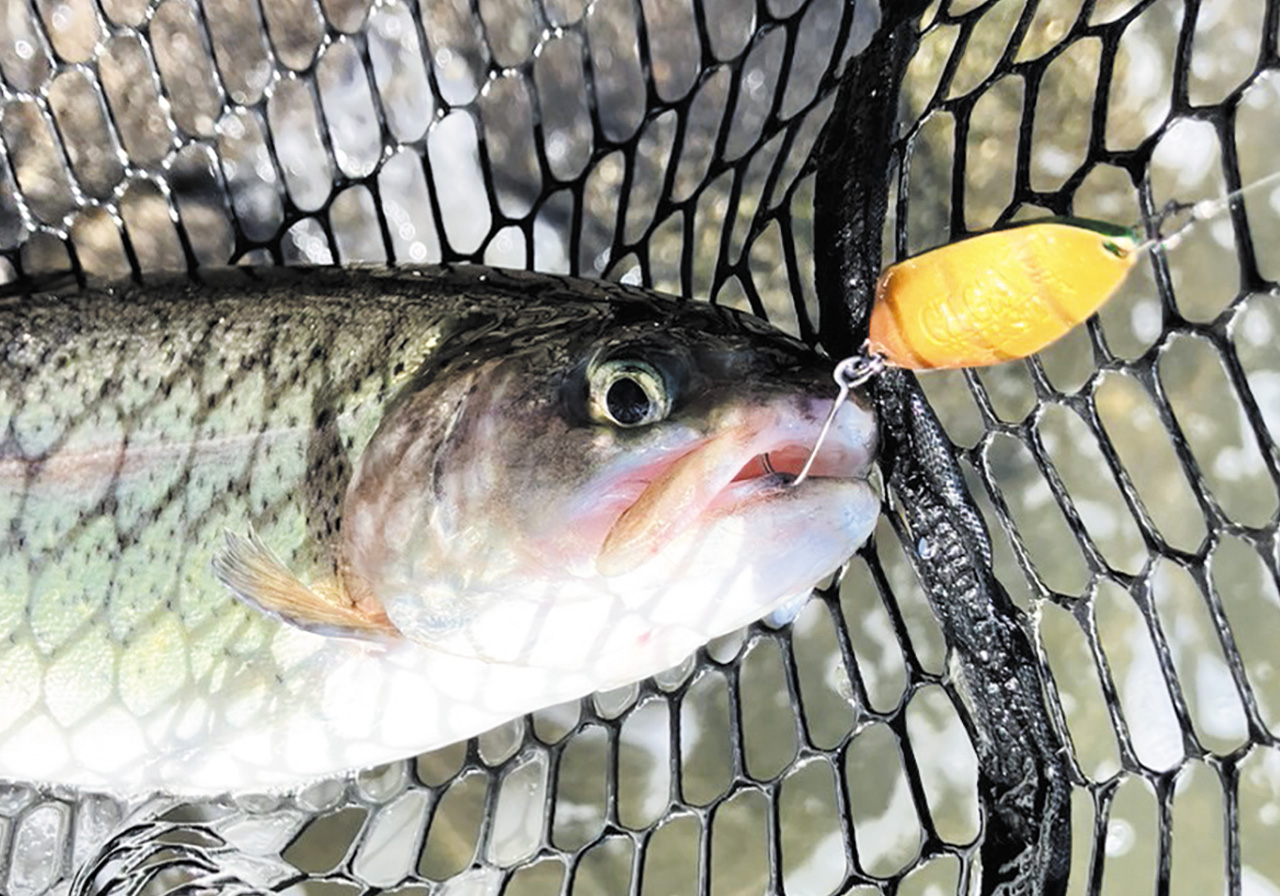 パフォーマンスのイメージ画像