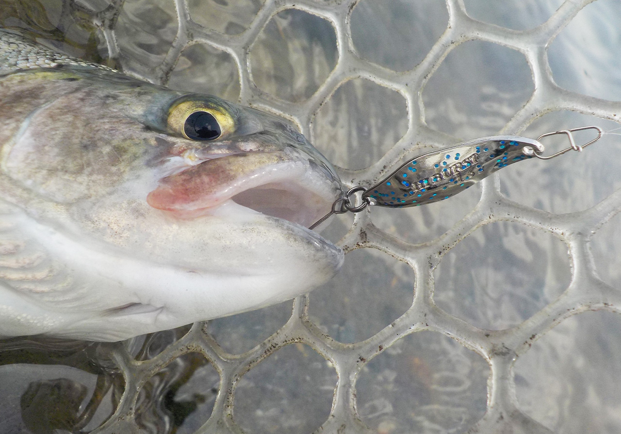 HI BURST（ハイバースト） | SPOONS | ValkeIN ヴァルケイン