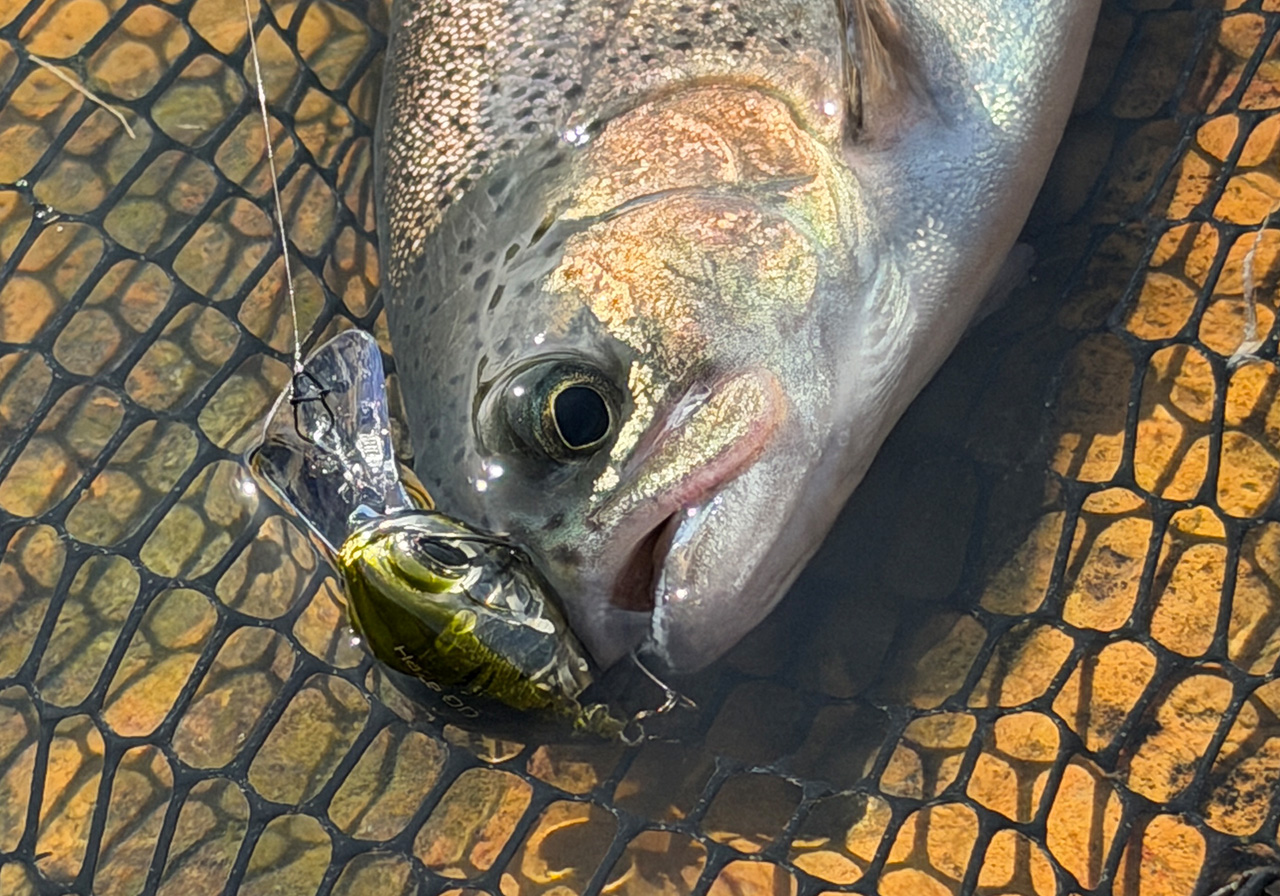 ポイントのイメージ画像