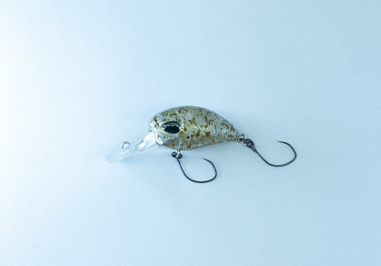 Haze DDのイメージ画像