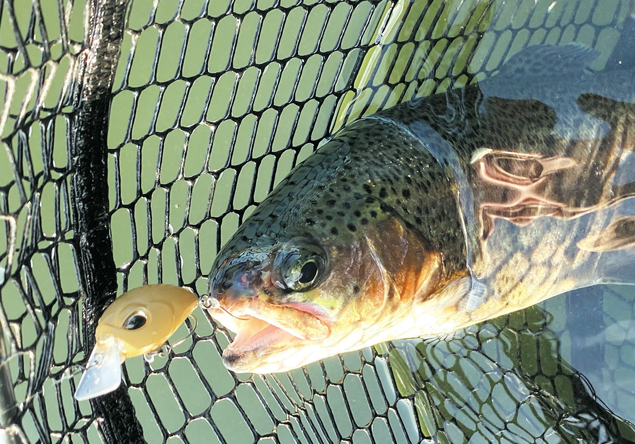 Haze MD（ヘイズ ミッドドライブ） | HARDBAITS | ValkeIN ヴァルケイン