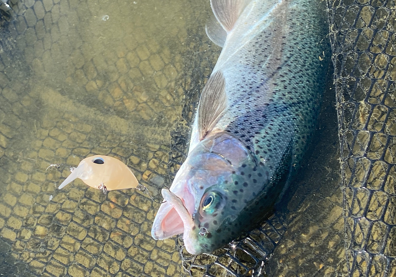 ポイントのイメージ画像