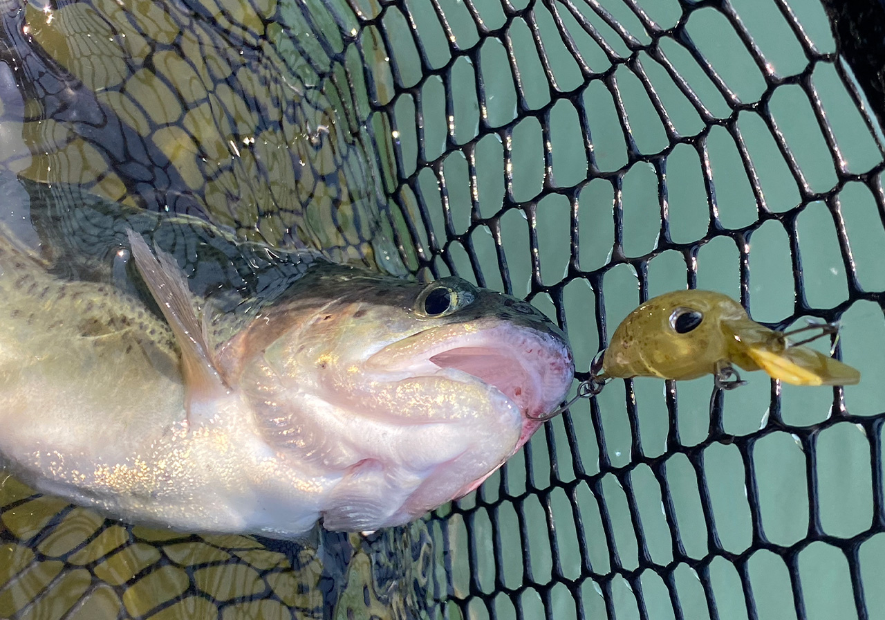 Haze nano F（ヘイズ ナノ フローティング） | HARDBAITS | ValkeIN