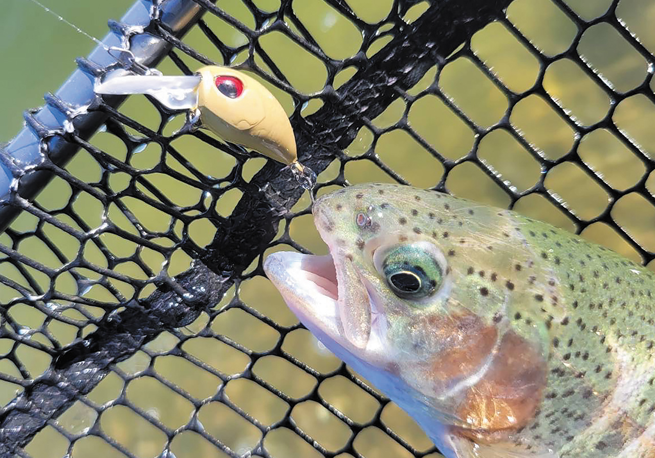 VALKEIN ヴァルケイン ヘイズナノF ヘイズナノＳＳ ２５個セット Haze nano SS（ヘイズ ナノ スローシンキング） | HARDBAITS | ValkeIN